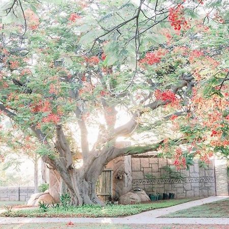 Tshukudiba Game Lodge Tom Burke Bagian luar foto