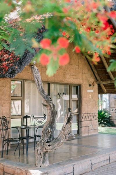 Tshukudiba Game Lodge Tom Burke Bagian luar foto